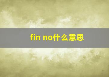 fin no什么意思